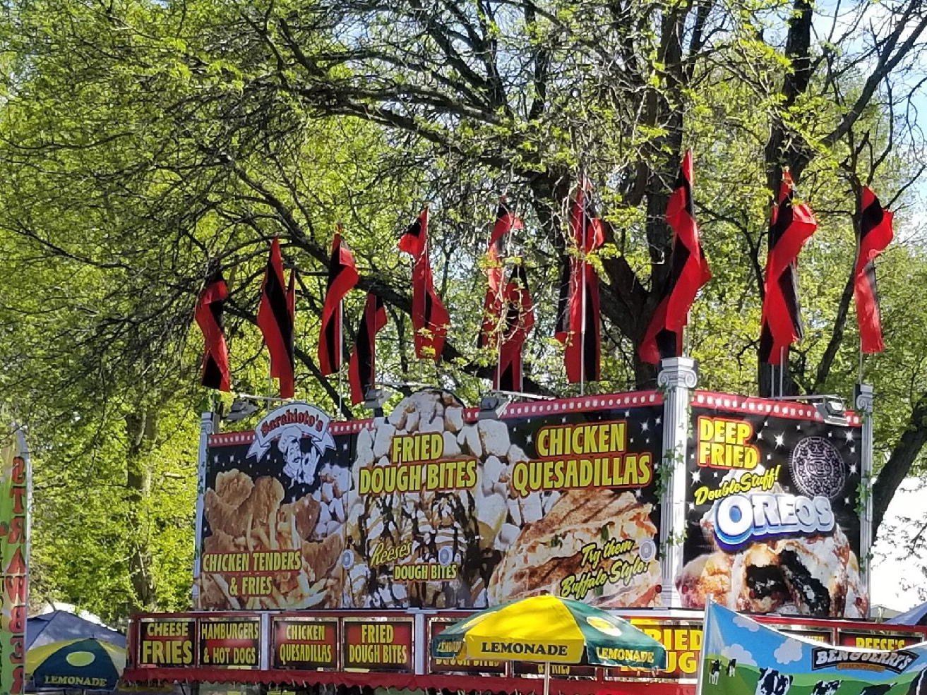 Albany NY Tulip Festival